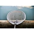 Wallmonkeys Peel Stick Wall Decals