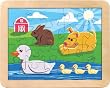 Duck Pond Puzzle