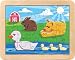 Duck Pond Puzzle
