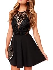 Polyester Round Neck Sleeveless Backless Lace Embroidered  Empire   Waistline Skater Dress  With Ruffles