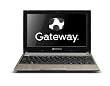Gateway LT2315u 10.1-Inch Netbook (Champagne Canvas)