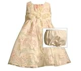 Bonnie Baby Baby-Girls Infant Organza Dress With Floral Burnout, Ivory, 12 Months