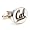 California Golden Bears