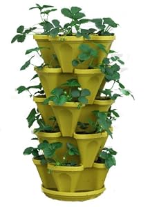 Buy indoor plants gifts - Mr Stacky 5 Tiered Hanging and Stacking Indoor Outdoor Vertical Strawberry Planter - Learn How to Grow Organic Strawberries Easy with these cool Tuscany Plastic Containers - Great Garden Planting Pots - Planters Also Used for Herbs Peppers Flowers Tomatoes Succulents Green Beans - Free Growing Gardening Plant Tips and Ideas - Great Mothers Day Gifts!