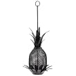 Pineapple Bird Feeder