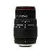 �V�O�} APO 70-300mm F4-5.6 DG MACRO �j�R���p II