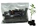 Super Plugs Organic Starter Plugs - 50 count