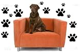 Paw Print Wall Decal Sticker Graphic