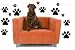 Paw Print Wall Decal Sticker Graphic