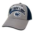 Penn State Nittany Lions NCAA All Out