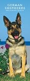 German Shepherds 2008 Slimline Calendar