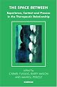 The Space Between: Experience, Context and the Process in the Therapeutic Relationship (Systemic Thinking & Practice)