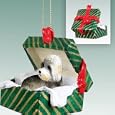 Dandie Dinmont Terrier Green Gift Box Dog Ornament