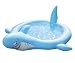 Six Flags Shark Animal Spray Pool
