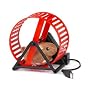 Thumbs Up USB Hamster Wheel / Hamster