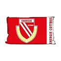 FC Energie Cottbus Nicki Kissen 'Logo'
