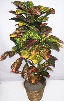 4' Artificial Croton Plant
