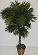 55" Buddha Style Parlour Palm Tree