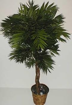 55" Buddha Style Parlour Palm Tree