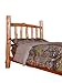 The Woods Premium Microfiber CAMO Comforter (Natural, Queen)