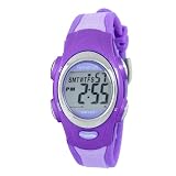 Armitron Womens 456967LAV Silver-Tone and Lave