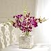 10 Singapore Orchids