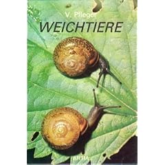 Weichtiere.