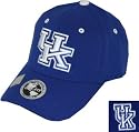 Kentucky Wildcats Adult  One-Fit Hat