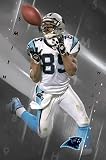 Steve Smith Carolina Panthers 22.5X34 Poster 4099