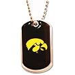 Iowa Hawkeyes Dog Tag Domed Necklace Charm Chain Ncaa