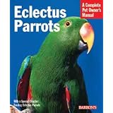 (Price 1)Eclectus Parrots by Top Dawg Pet Supplies