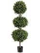 54" Triple Ball-shaped Boxwood Topiary in Plastic Pot Two Tone Green