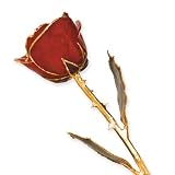 Long Stem Dipped 24k Gold Trim Red Rose In Gold Gift Box