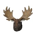 DARICE JCD1995-31 Resin Moose Head with Antlers