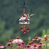 Parasol BQ2DHCL Bouquet Deluxe Heart Blown Glass Hummingbird Feeder Clear