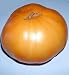 Yellow Giant Belgium Tomato 4 Plants