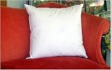 MARRIKAS FEATHER DOWN 18x18 PILLOW INSERT