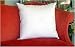 MARRIKAS FEATHER DOWN 16x16 PILLOW INSERT Image