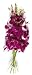 Fresh Cut Orchid Flowers Purple Dendrobium 10 Stems