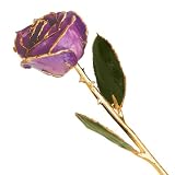 Long Stem 24k Dipped Gold Trim Lilac Rose With Gift Box