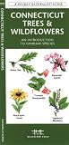 Connecticut Trees & Wildflowers: An Introduction to Familiar Species (State Nature Guides)