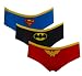 DC Comics Super Heroes Classic Logo 3 Pack Hipster Briefs for women