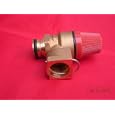 Ravenheat RSF CSI Pressure Relief Valve 0008VAL01018/1'