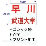 ��N�i�N�T�N���j���������p�_���[�b�P���i�v�����g���H�j30�~21cm �S�V�b�N�� �Ԏ� JT63021GOR