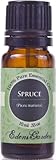 IMAGE OF Spruce 100% Pure Therapeutic Grade Essential Oil- 10 ml