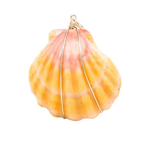 Sunrise Shell Natural Color Wire Wrapped Pendant Made in Hawaii