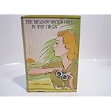 the meadow brook girls in the hills or the missing pilot of the white mountian