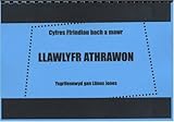Ffrindiau bach a mawr : llawlyfr athrawon