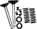 Search : Magnum Valve Set - 120 FS (2 pc w/springs & keeper)