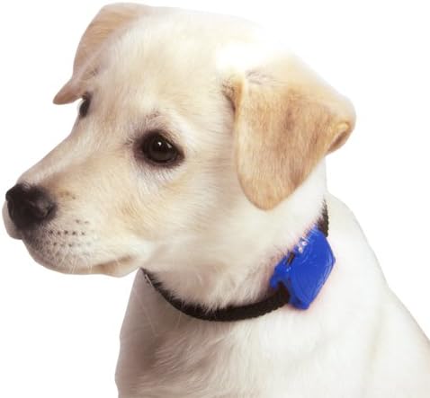 Safety Turtle PET Collar Attachment Turtle - Blue